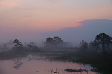 Fototapeta premium Landscape of Kakerdaja Bog, sunrise