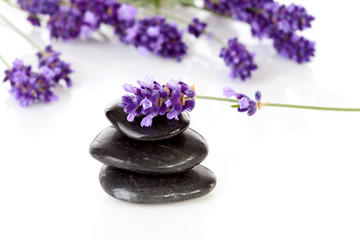 Fototapeta na wymiar stacked black pebbles stones and lavender flowers
