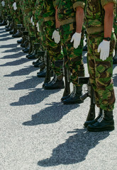 Soldiers in army Parade