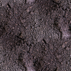 dirt seamless texture  soil land  texture terra background
