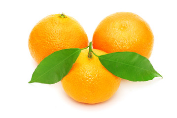 tangerine