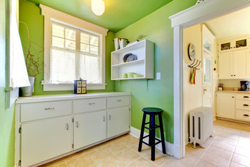Green kitchen and garden room interior with buffer.