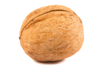 single walnut on a white background