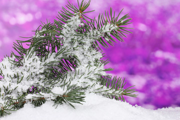 Green Christmas tree in the snow on purple