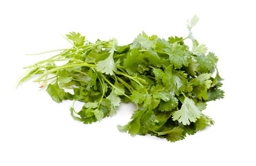 Fresh organic raw coriander leaf isolated on white background. C