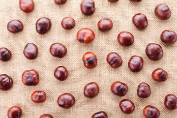 chestnuts on fabric texture background