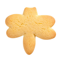 Homemade Biscuit. Dragonfly shape.