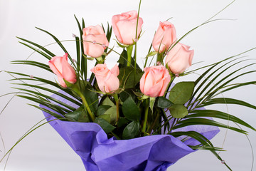 Close-up shot of roses