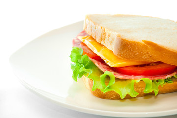 tasty juicy sandwich