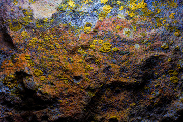 old cave wall with mold and moss