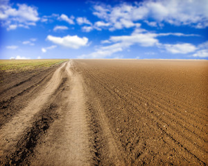 Fototapeta na wymiar Plowed field and dirt road
