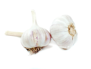 head of the garlic on white background