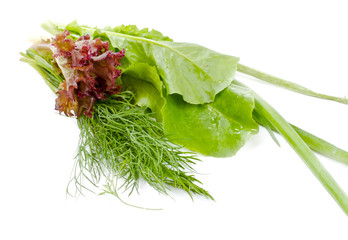 Fototapeta premium Salad leaves, onion and dill
