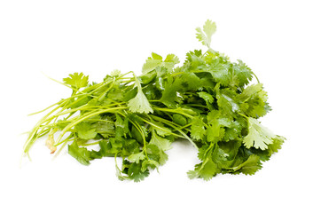 Fresh organic raw coriander leaf isolated on white background. C