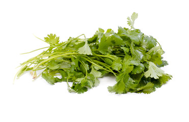 Fresh organic raw coriander leaf isolated on white background. C
