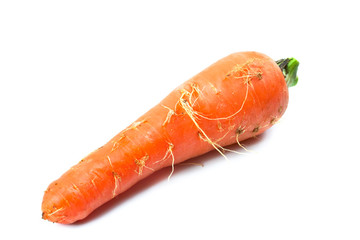 Fresh red carrot on white background