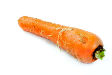 Fresh red carrot on white background