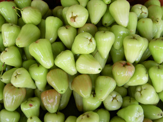 Green rose apples, Thailand.