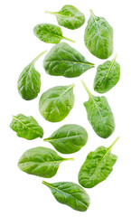 spinach leaves