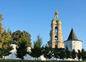 Domes of the Novospassky  Monastery  in Moscow