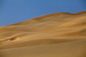 sand dune