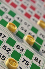 Loto
