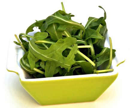 Rucula