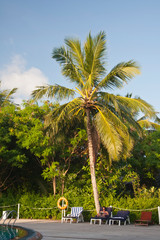 Fototapeta premium Maldive