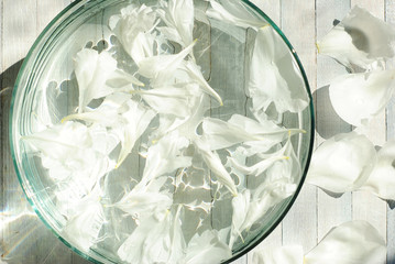 white peony petals in aroma bowl