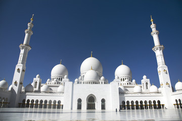 sheikh zayed mosque - obrazy, fototapety, plakaty