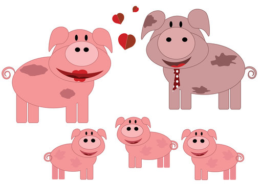 Pigs family