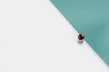 Fototapeta premium Copyspace 2