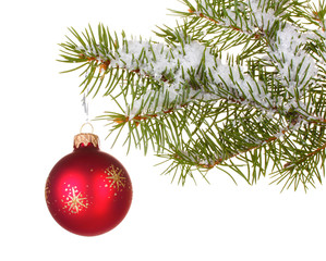 Christmas ball on the tree on white background