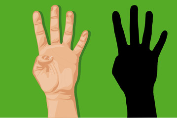 Fototapeta premium mano 4