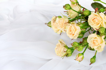 Small roses in a white cloth isolated on white
