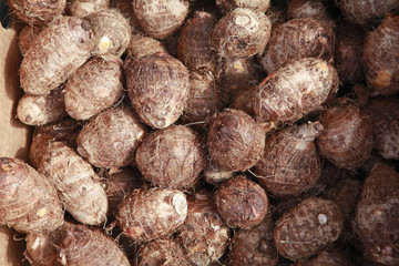 taro roots