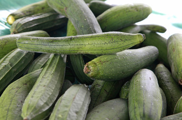 silk squash