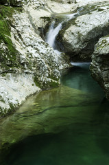 Mountain stream in early summer