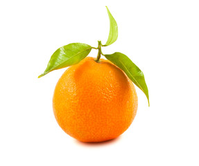 Ripe tangerine