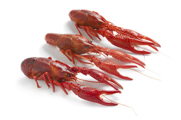 Cooked freshwater crayfishes