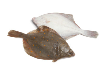 Fresh raw plaice fishes