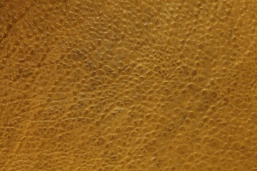 Fototapeta premium Sheepskin leather background