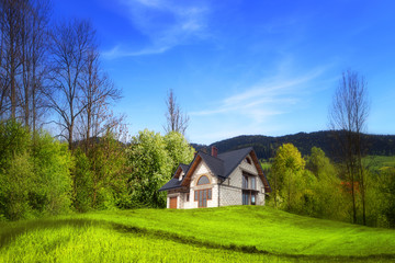 Obraz premium New house on the hill