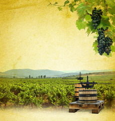 Grapes, wine press and vineyard on paper background