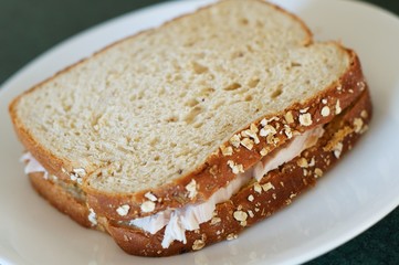 Turkey Sandwich
