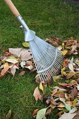 Gartenarbeit
