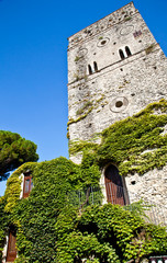 Fototapeta premium Castle covered by ivy