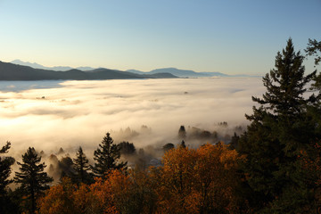 Fraser Valley Fog, British Columbia
