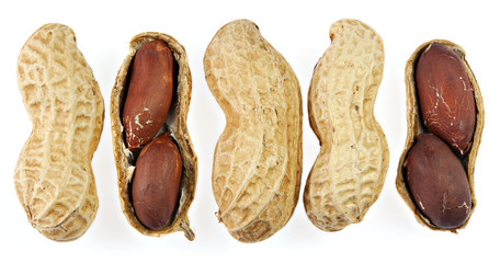 5 Erdnüsse in Reihe, isoliert