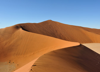 Fototapeta na wymiar Dunes dans le désert du Namib, Namibie